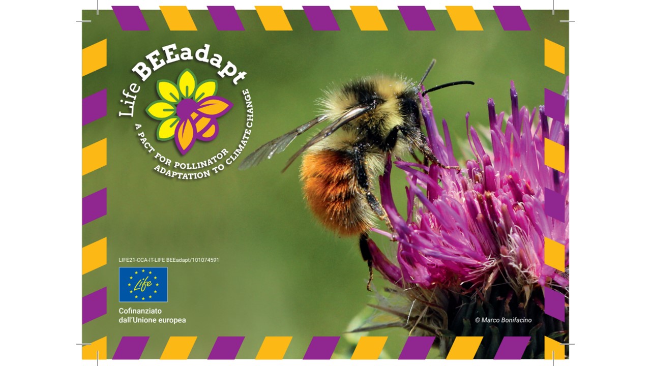 Progetto LIFE BEEadapt